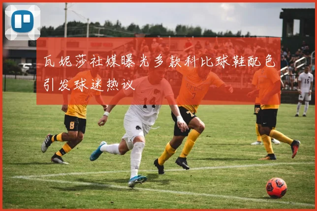 瓦妮莎社媒曝光多款科比球鞋配色引发球迷热议