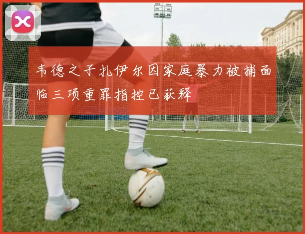 韦德之子扎伊尔因家庭暴力被捕面临三项重罪指控已获释