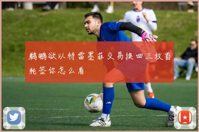 鹈鹕欲以特雷墨菲交易换回三枚首轮签你怎么看
